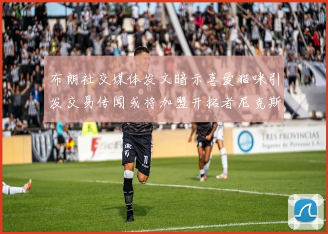 布朗社交媒体发文暗示喜爱猫咪引发交易传闻或将加盟开拓者尼克斯雷霆湖人